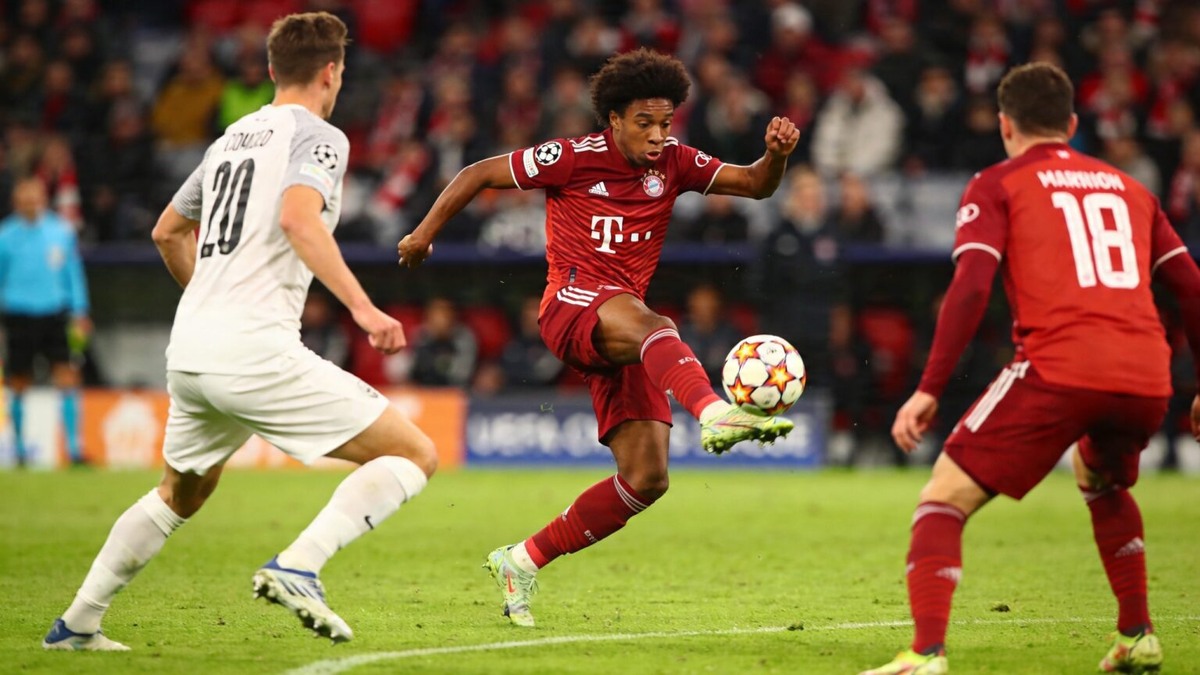 Totalsportek Down Again? Latest Updates & Working Options